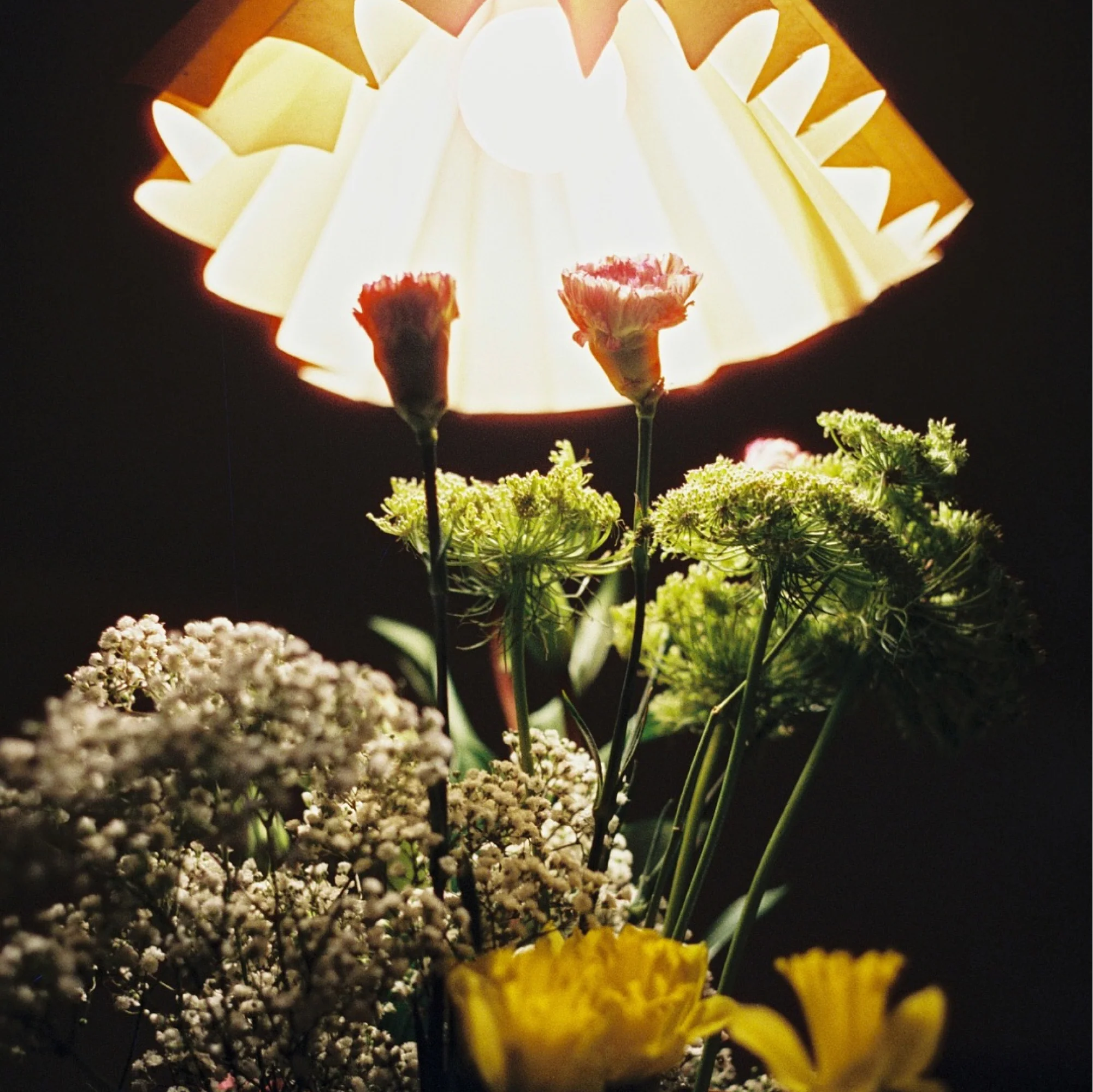 400 Hundred Film - Image 5