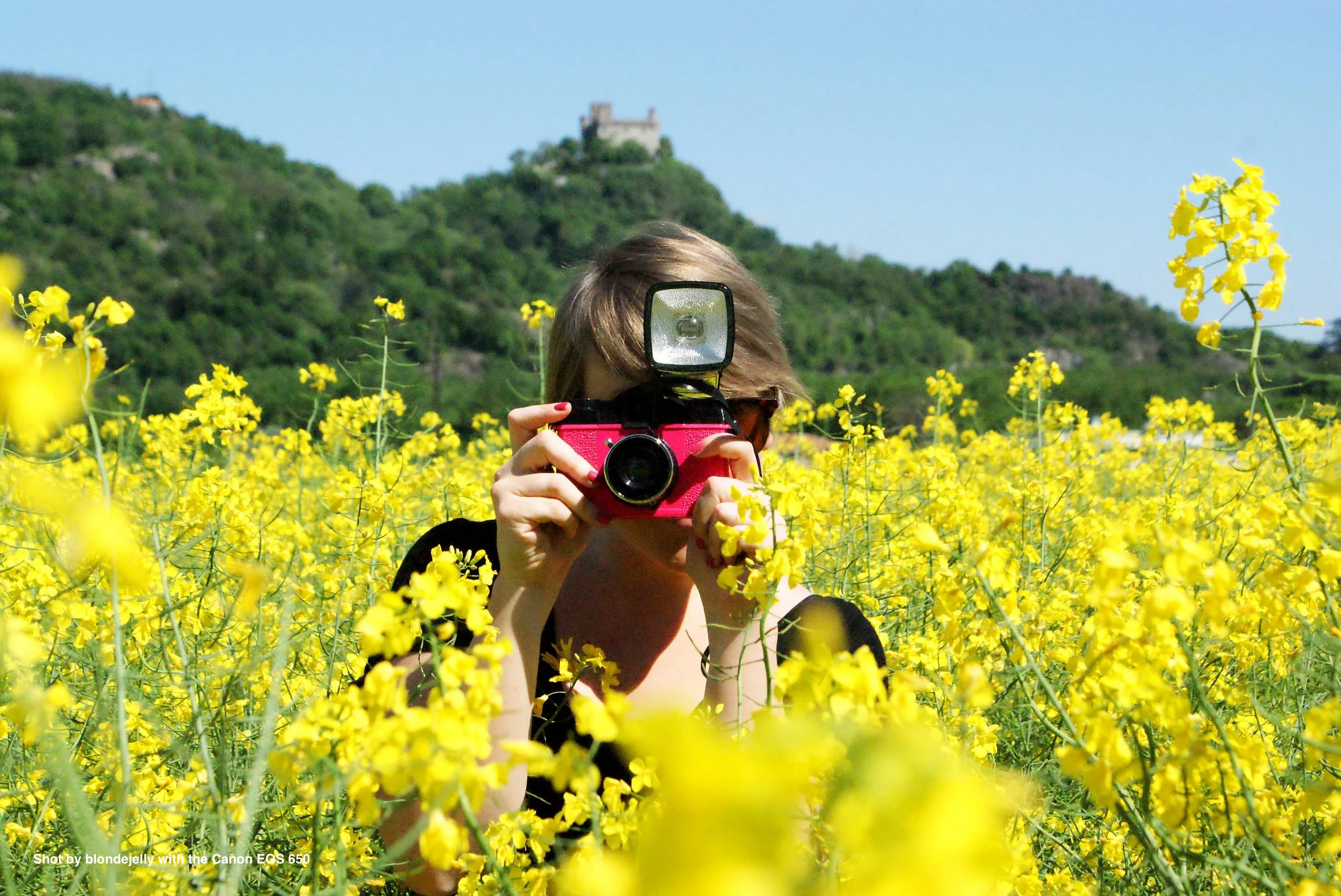 Canon EOS 650 - Image 4