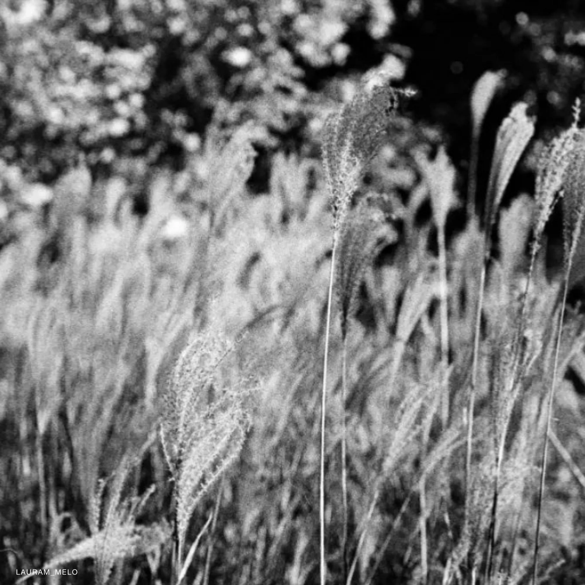 CineMot Amália 100D - Image 3