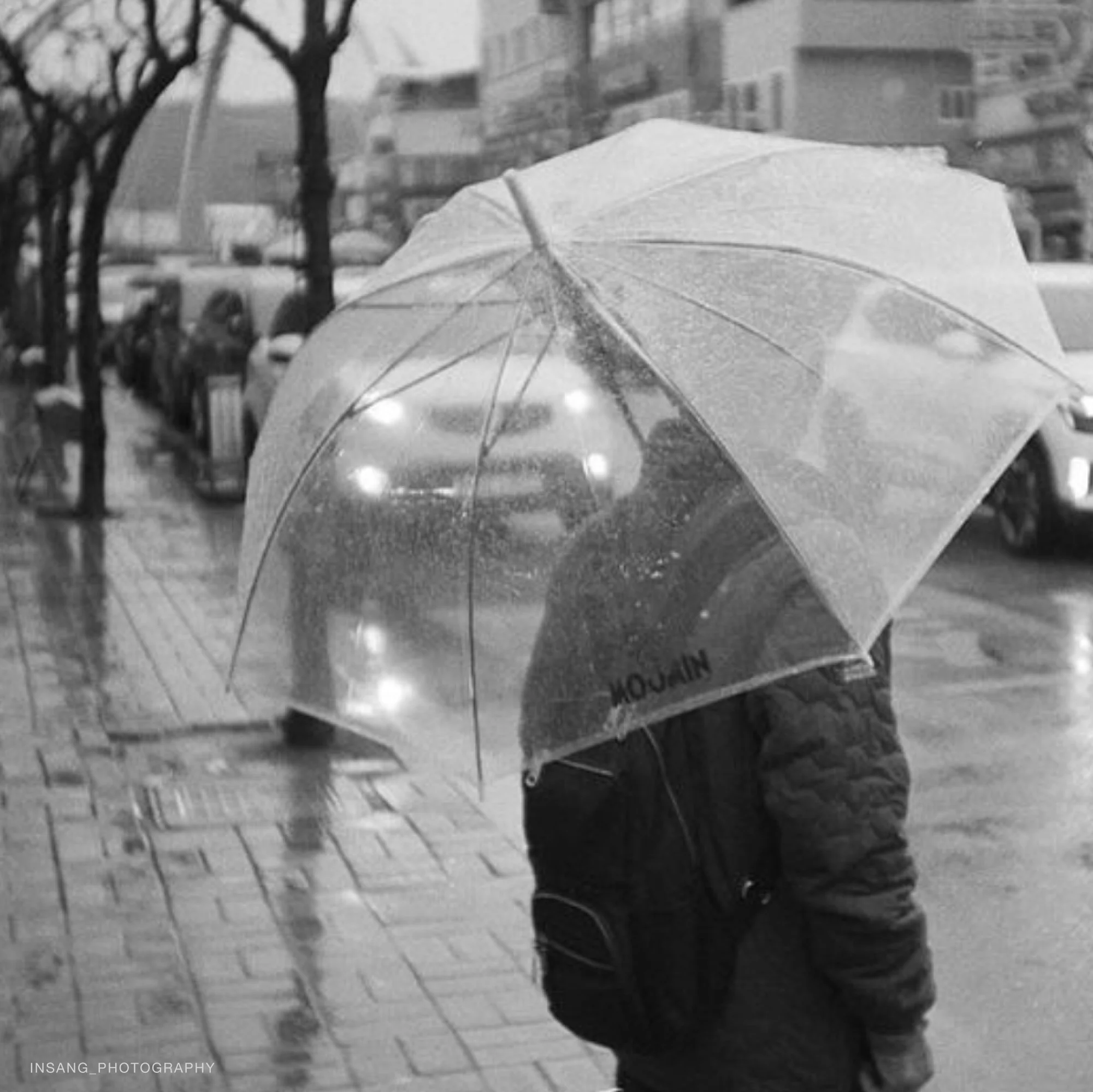 Fomapan 400 - Image 2