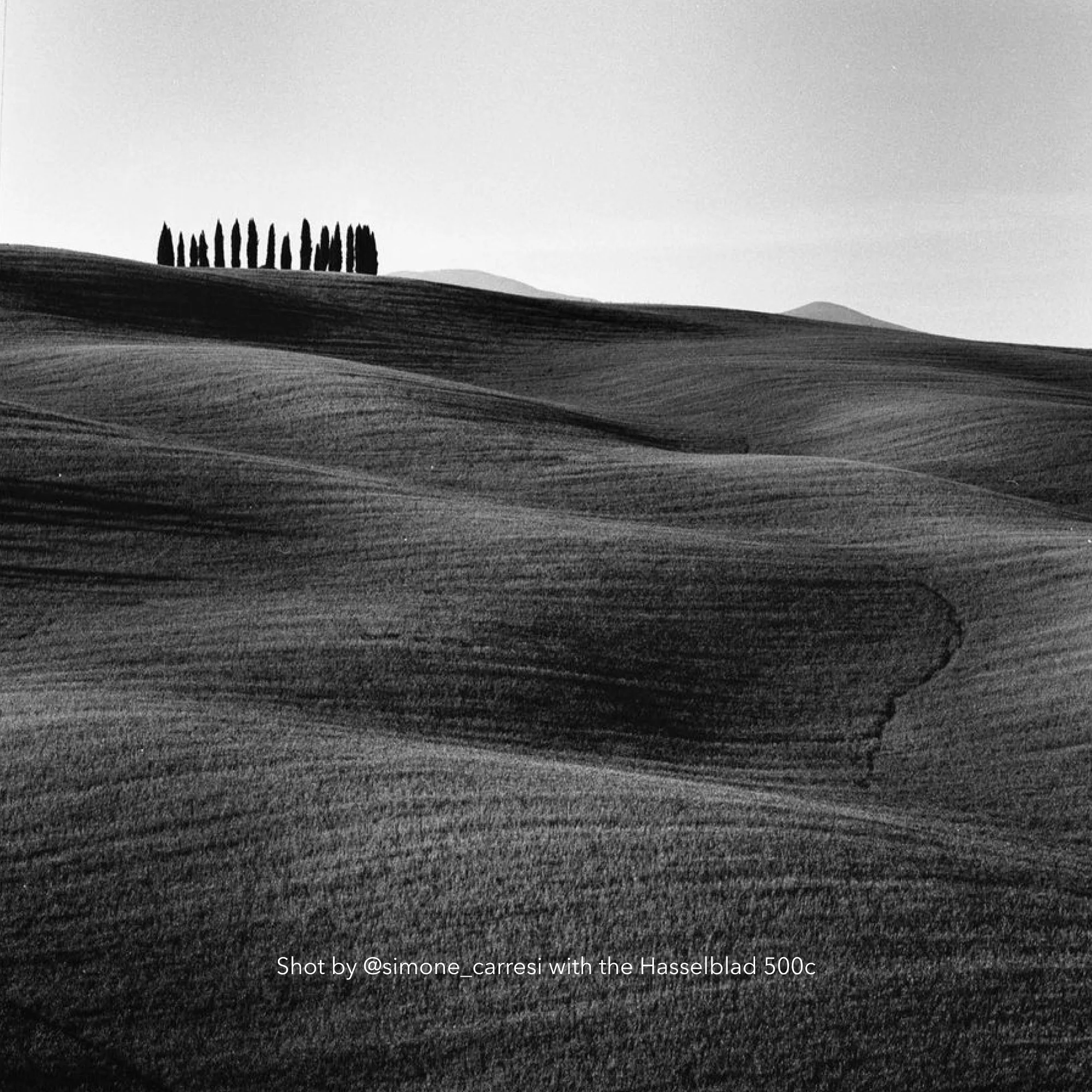Hasselblad 500 C + Sonnar 150mm f4 - Image 7