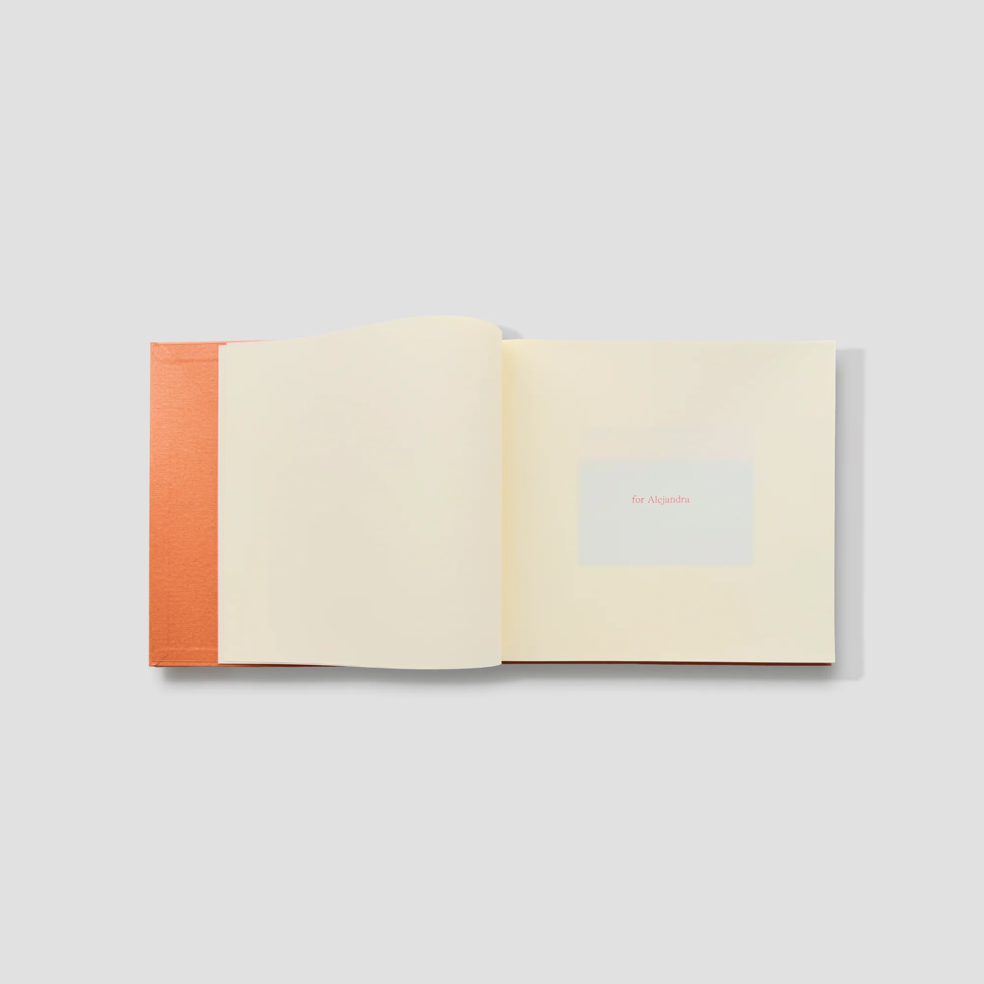 I went on holiday to the country you fled from - Iris Haverkamp Bergmann (book) - Image 2