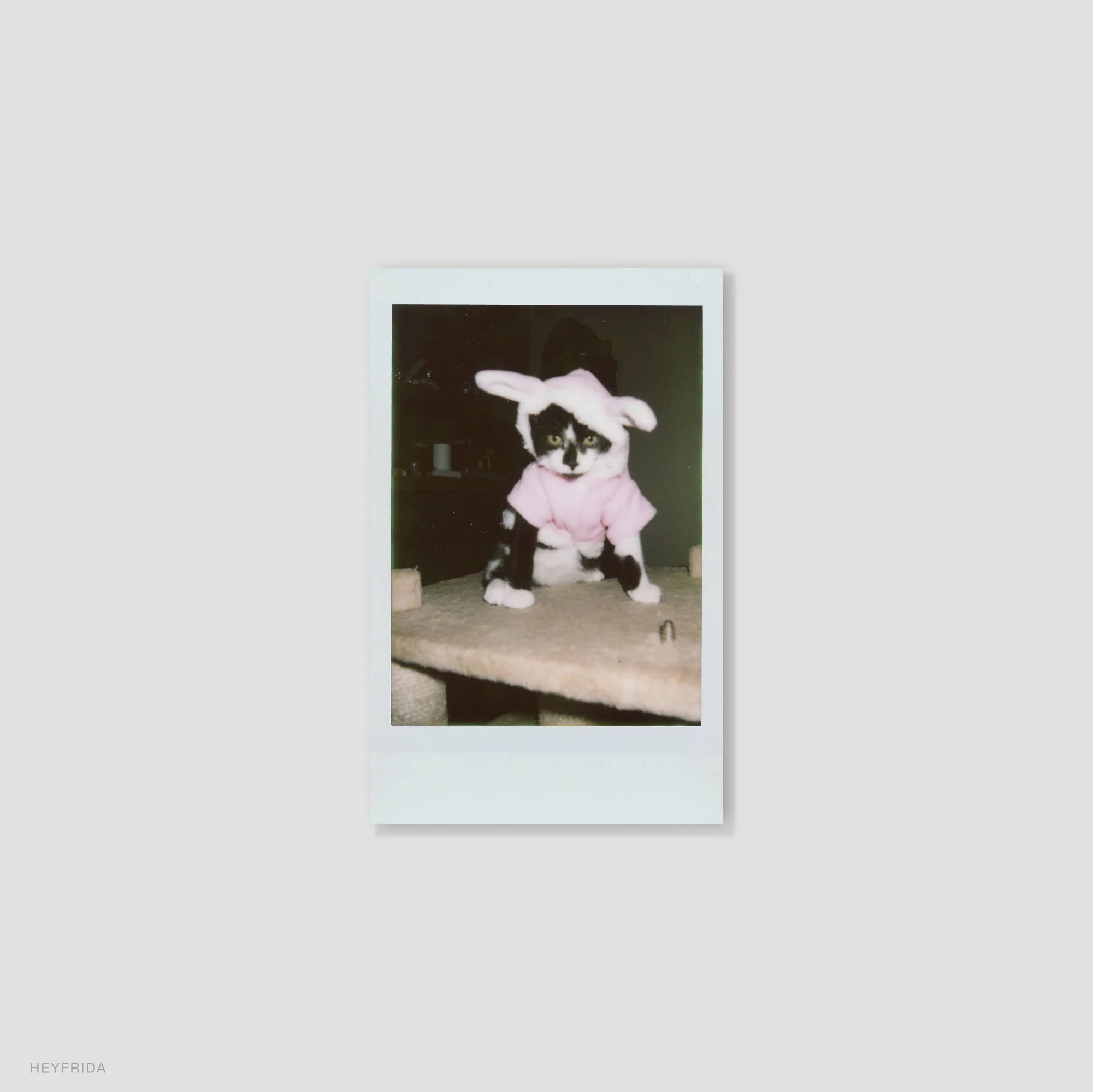 Instax Mini - Image 3
