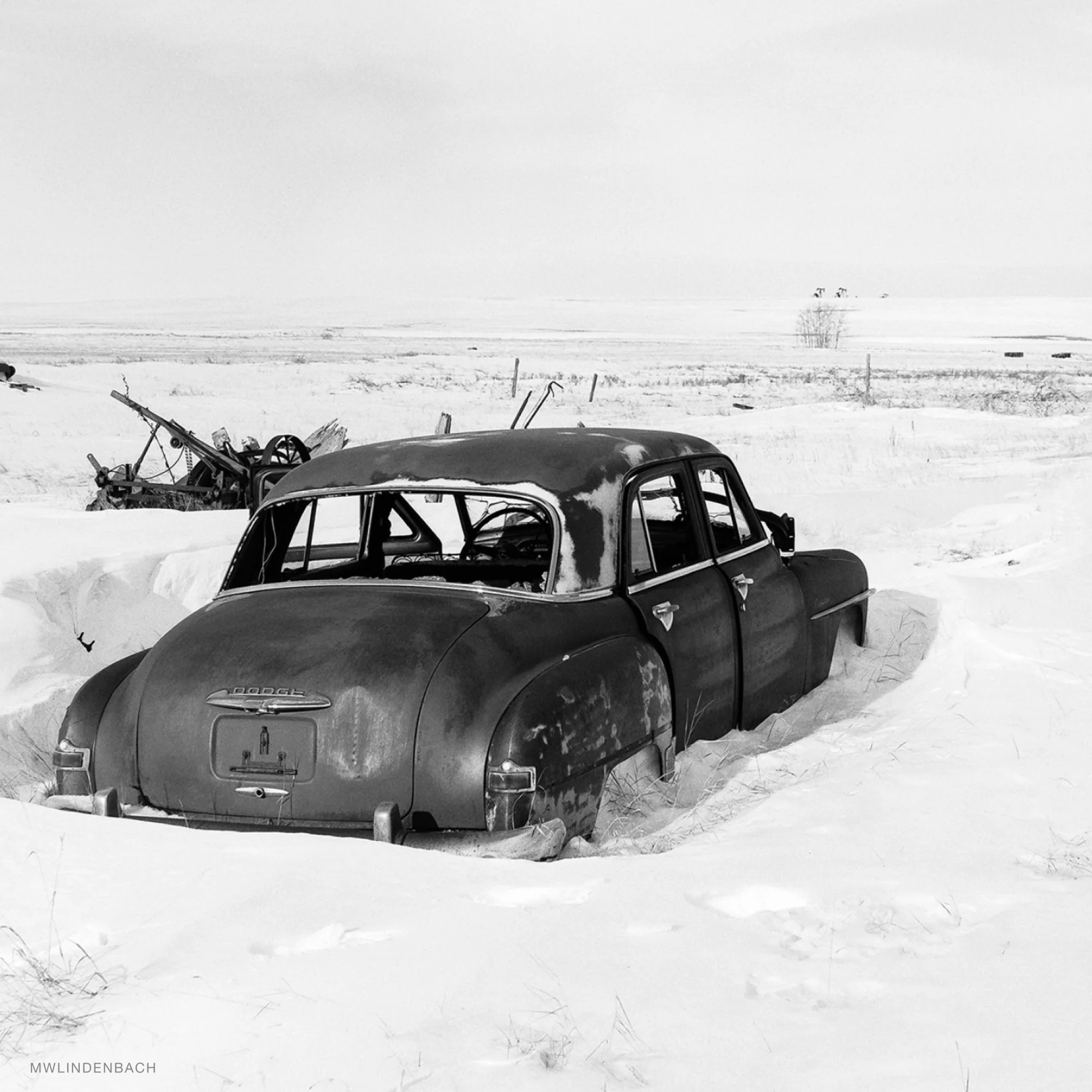 Kentmere 100 - Image 3