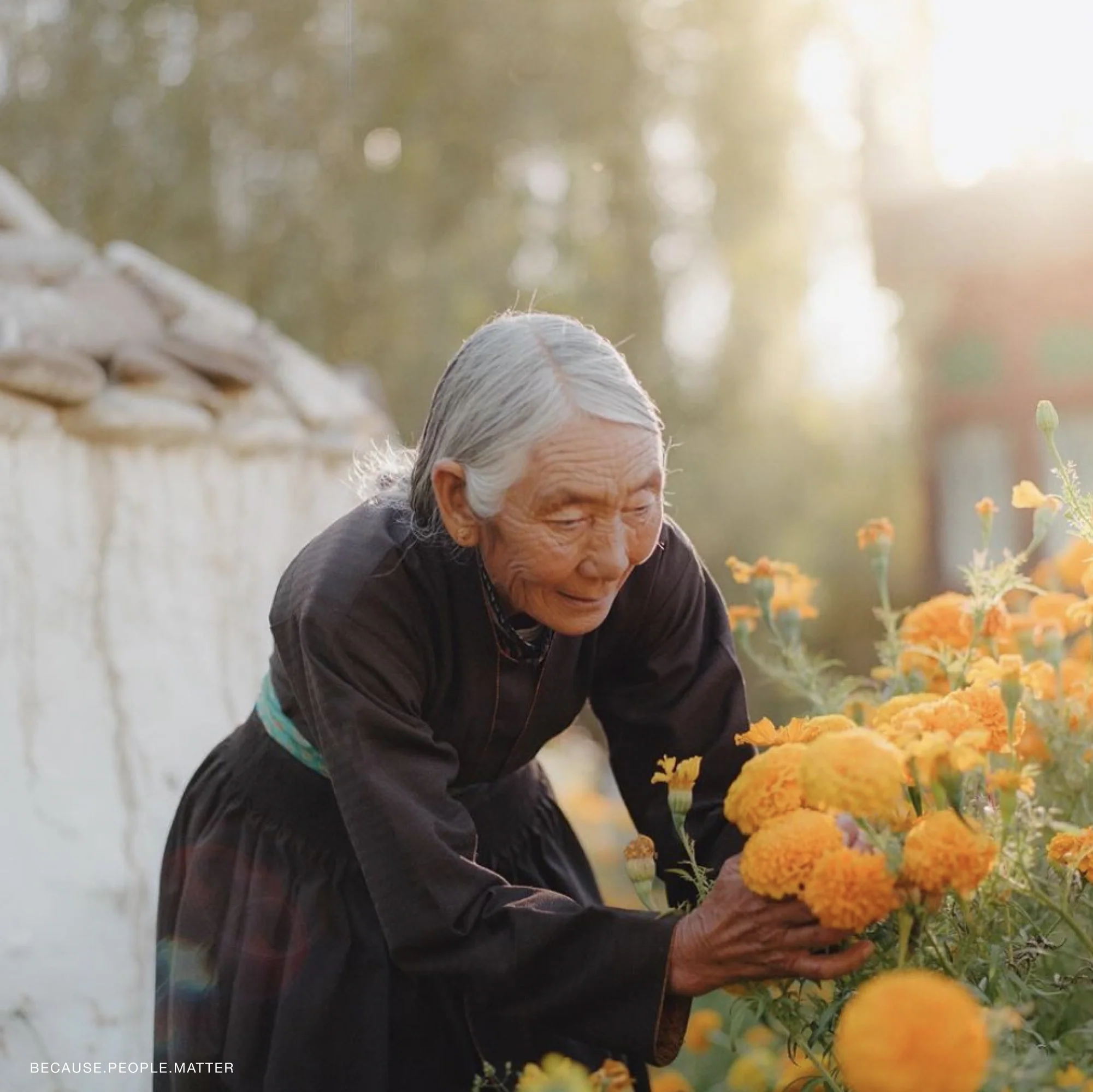 Kodak Portra 160 120mm - Image 3