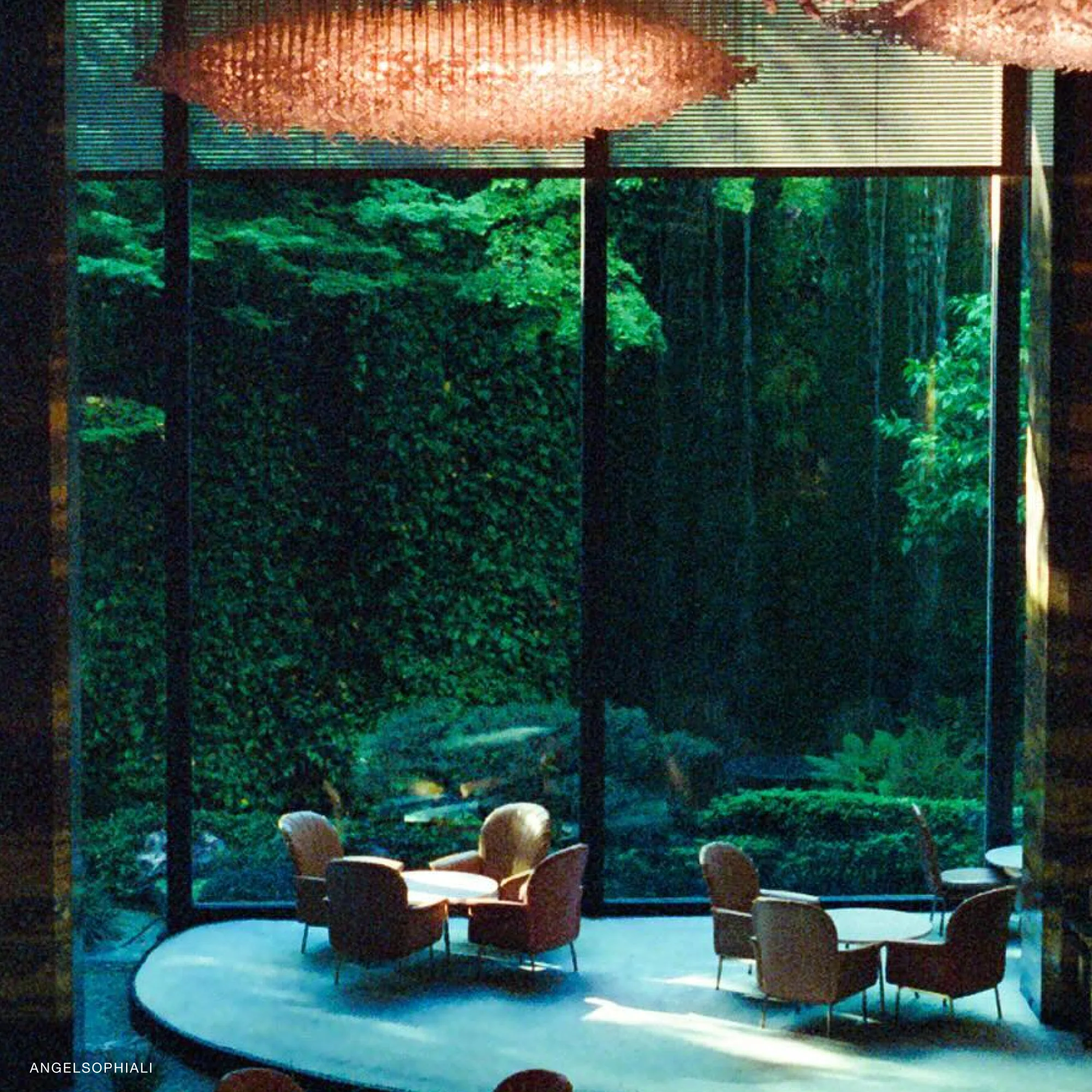 Kodak Portra 800/120 - Image 5