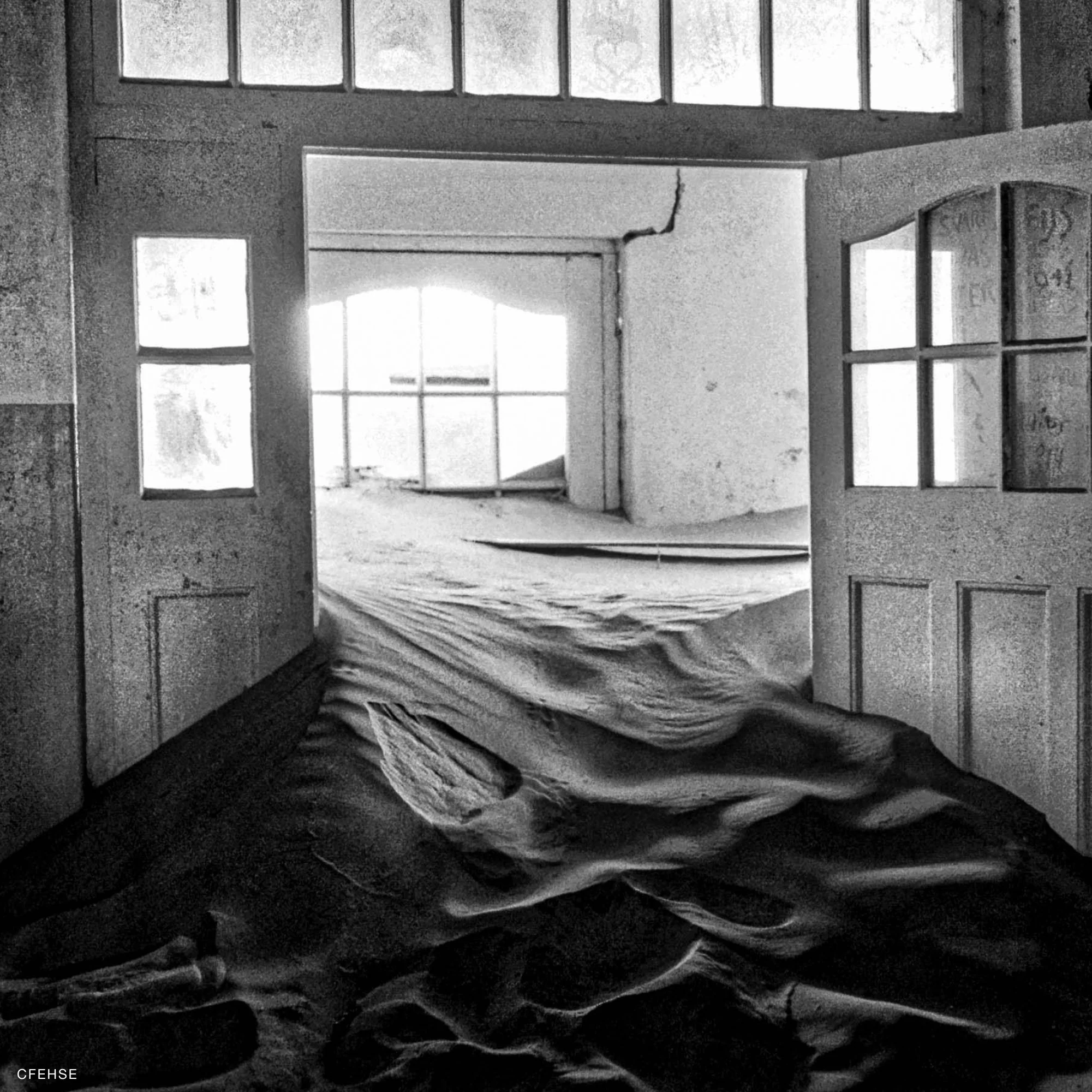 Kodak TRI-X 400 TX - Image 5