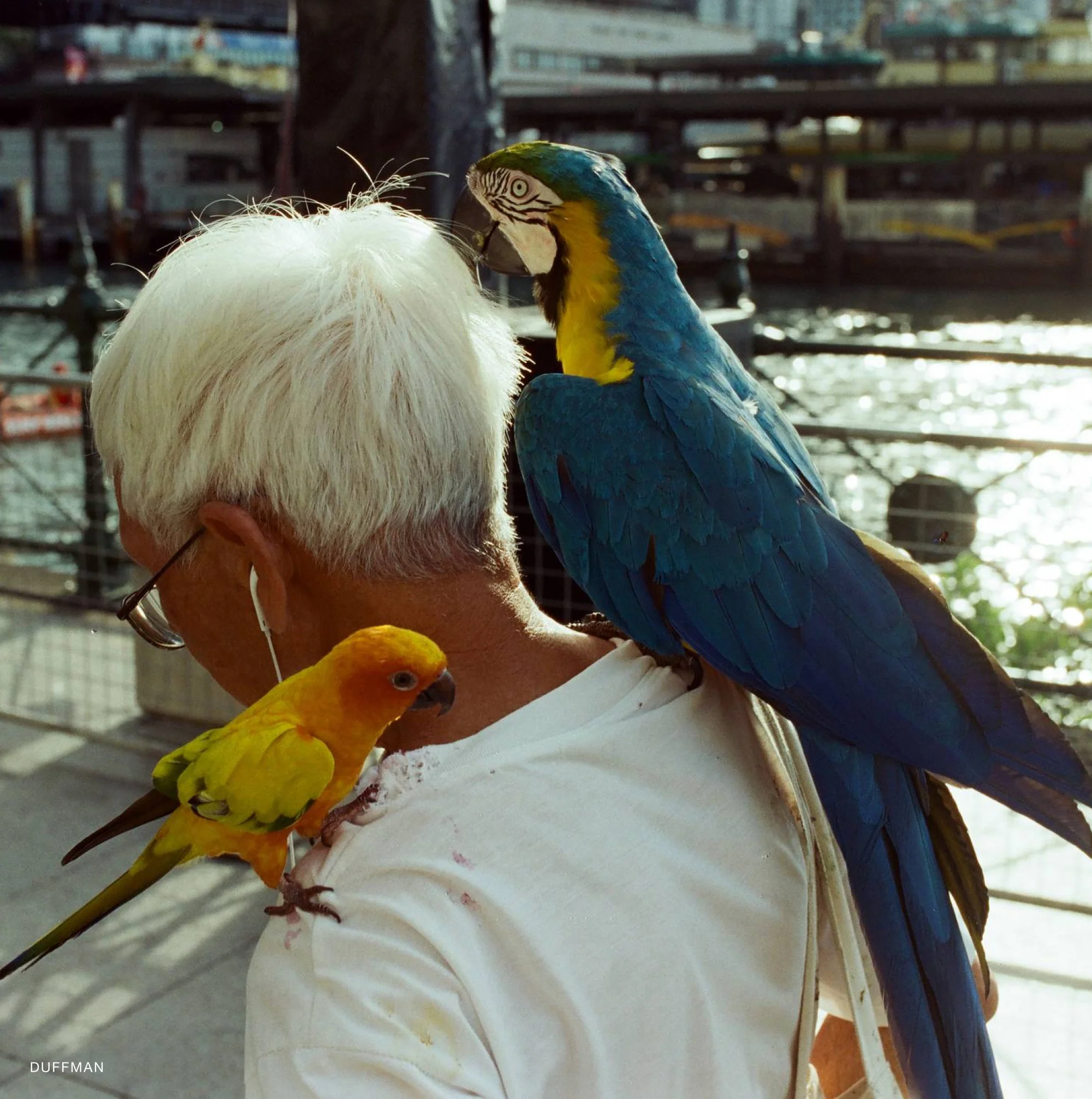 Kodak Vision3 250D/7207 - Image 4