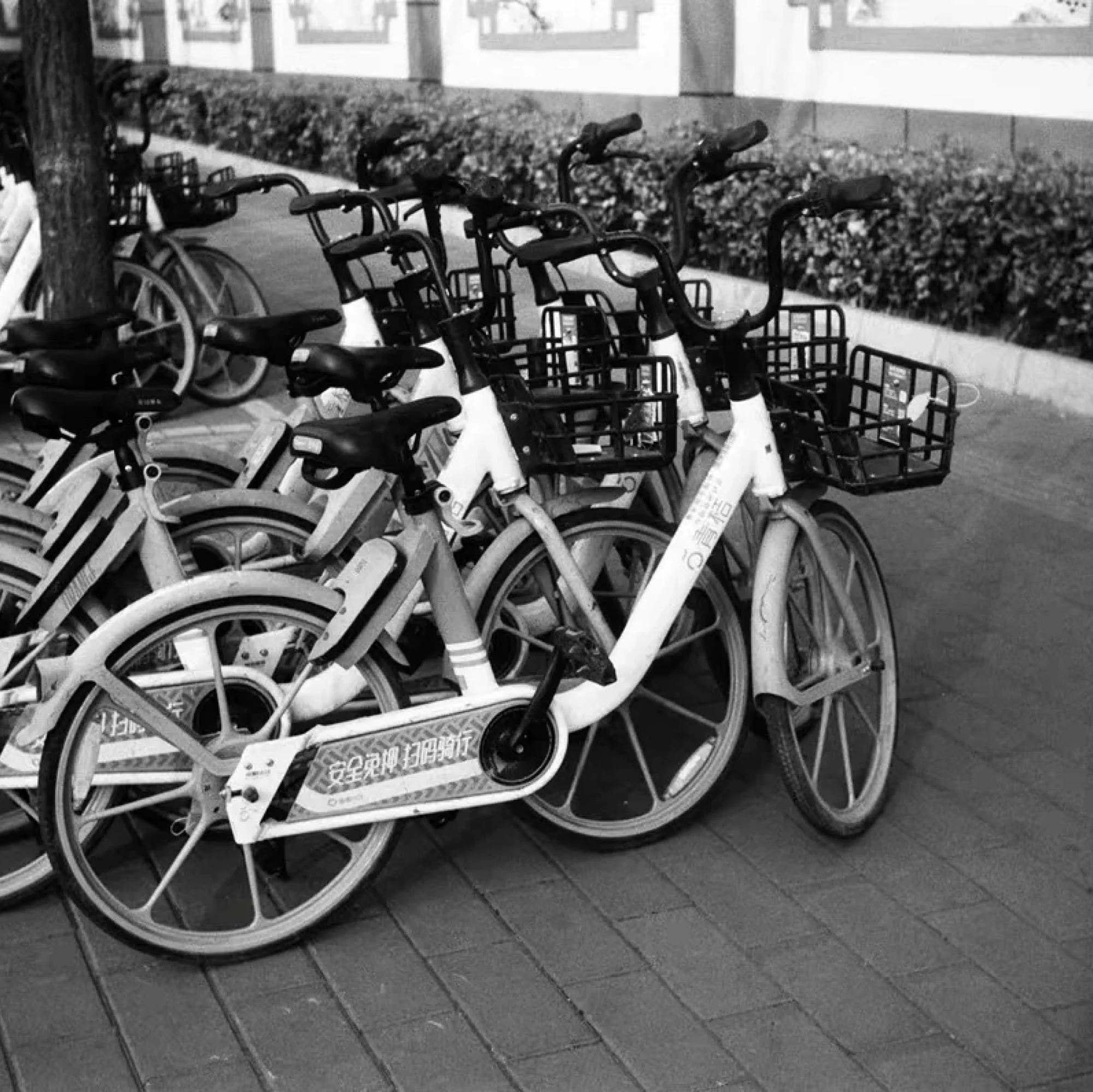 Lucky SHD 100 - Image 2