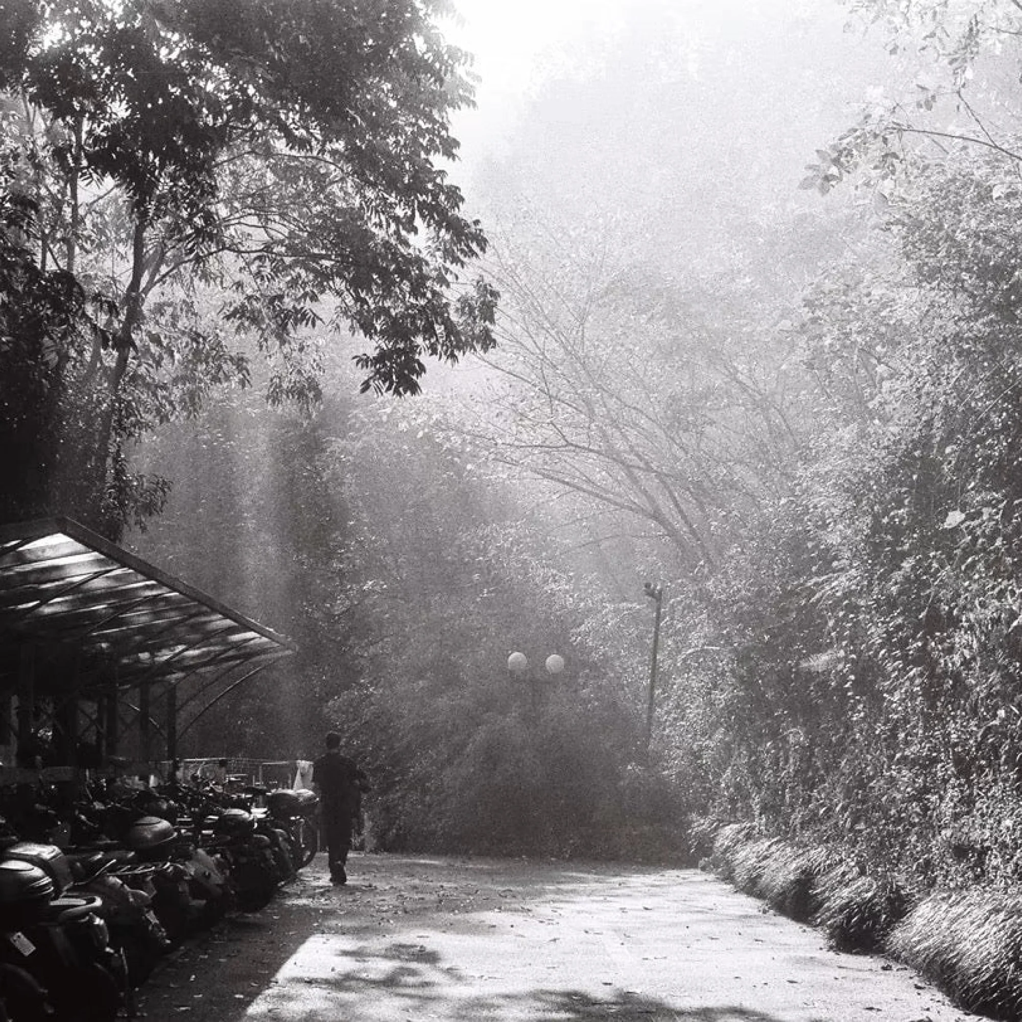 Lucky SHD 100 - Image 3