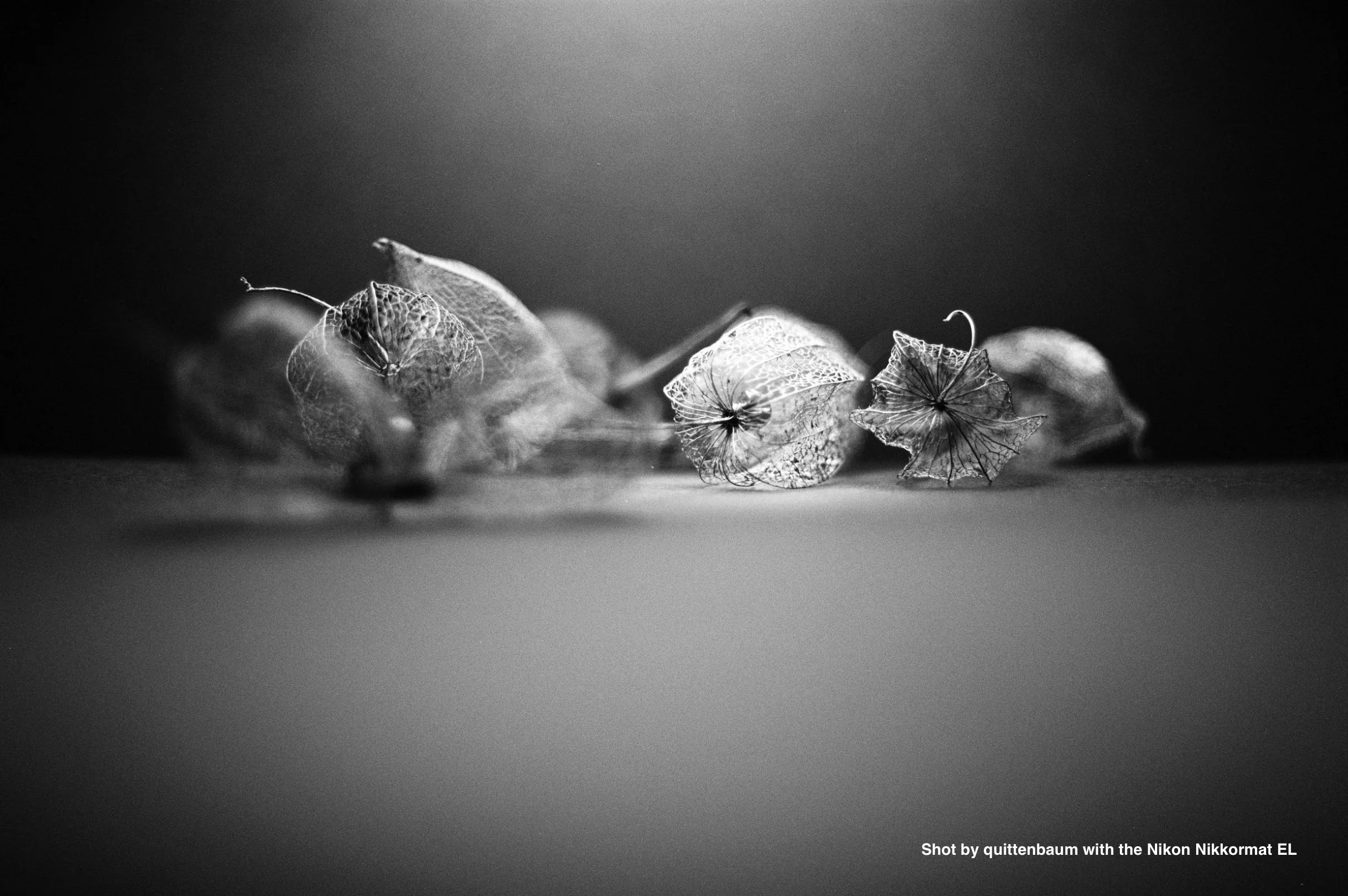 Nikon Nikkormat EL - Image 4