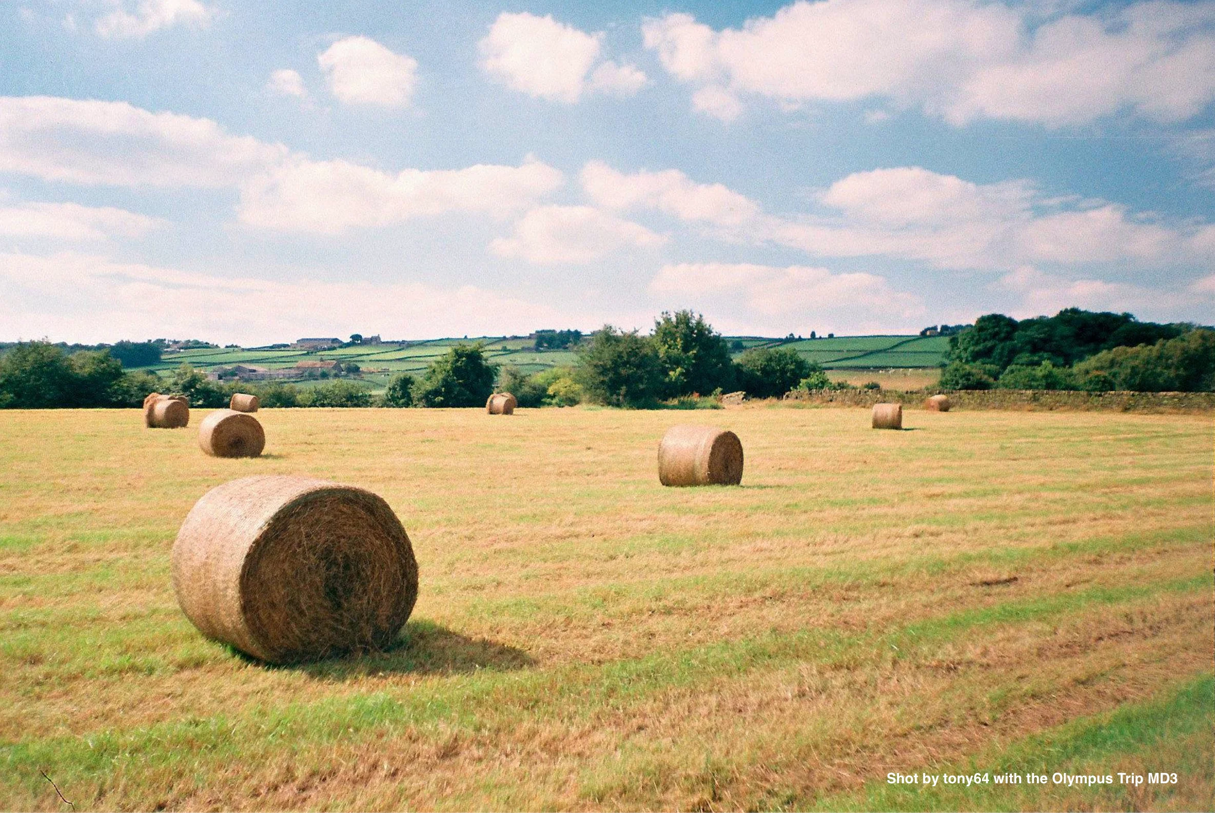 Olympus Trip MD3 - Image 5