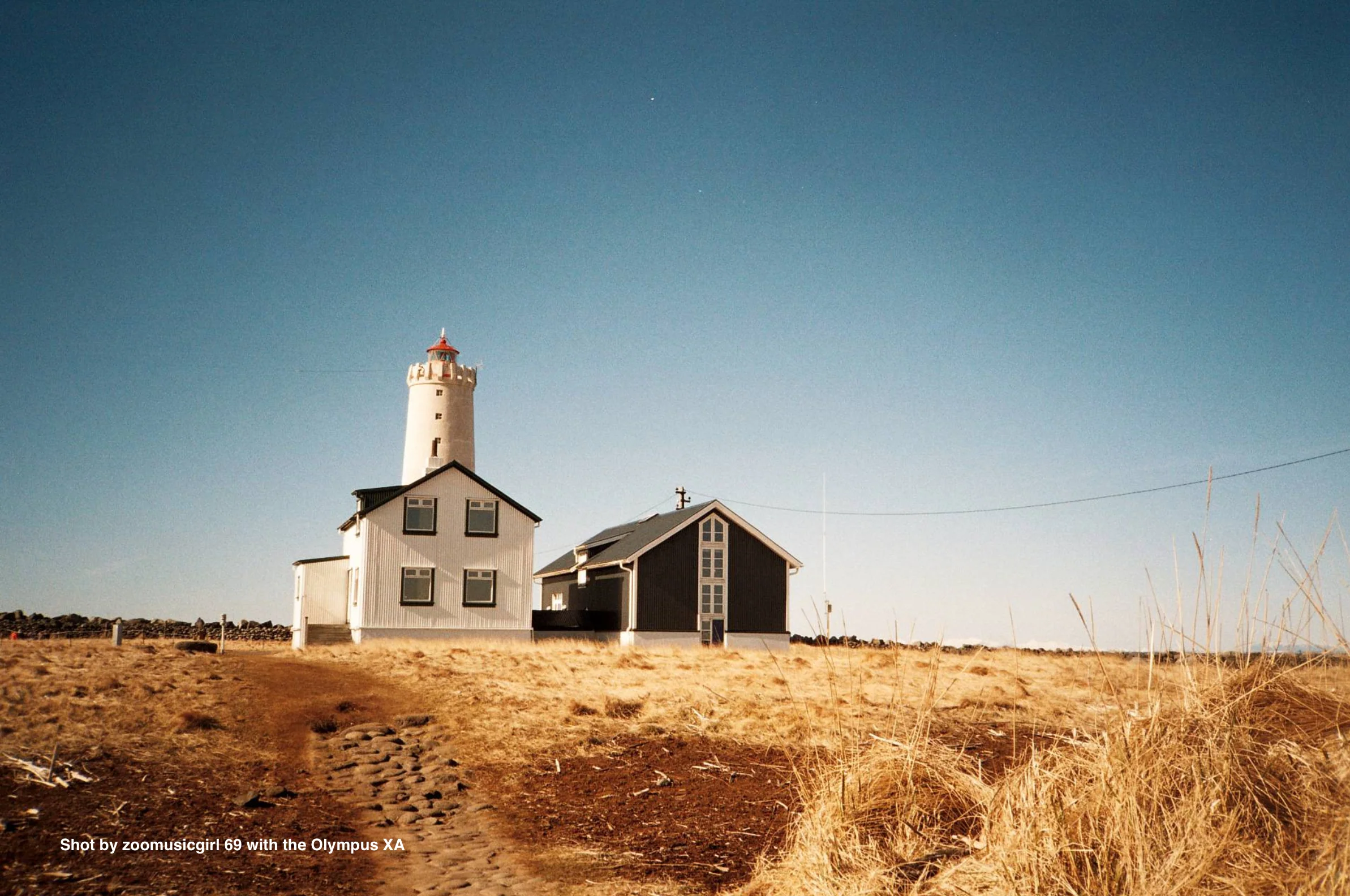 Olympus XA - Image 4