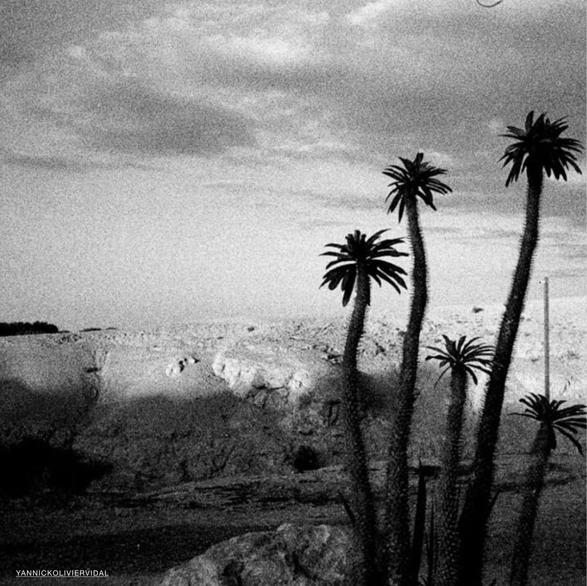 Pancro 400 - Image 2