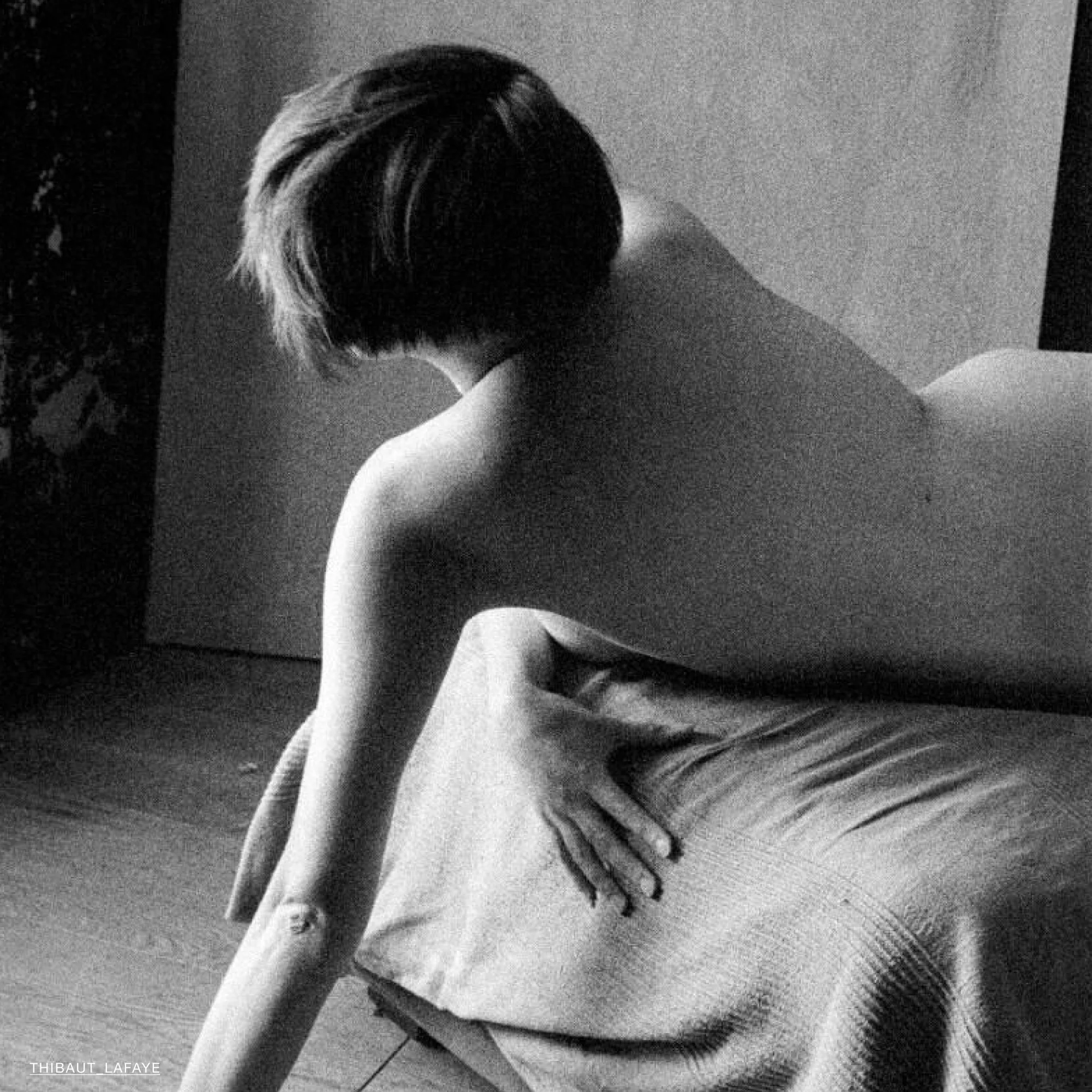 Pancro 400 - Image 3