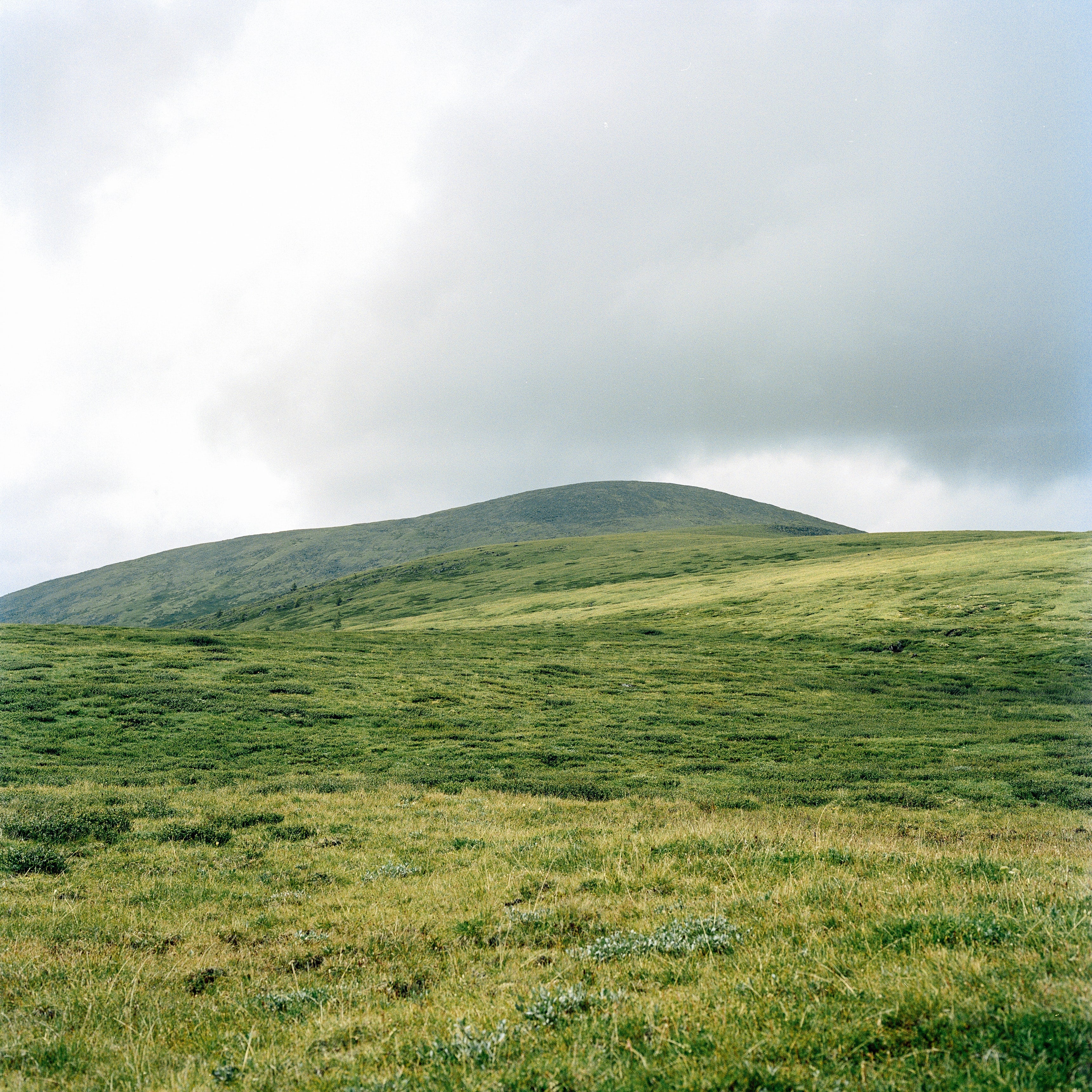 Hasselblad Planar 100mm 1:3.5 - Image 5
