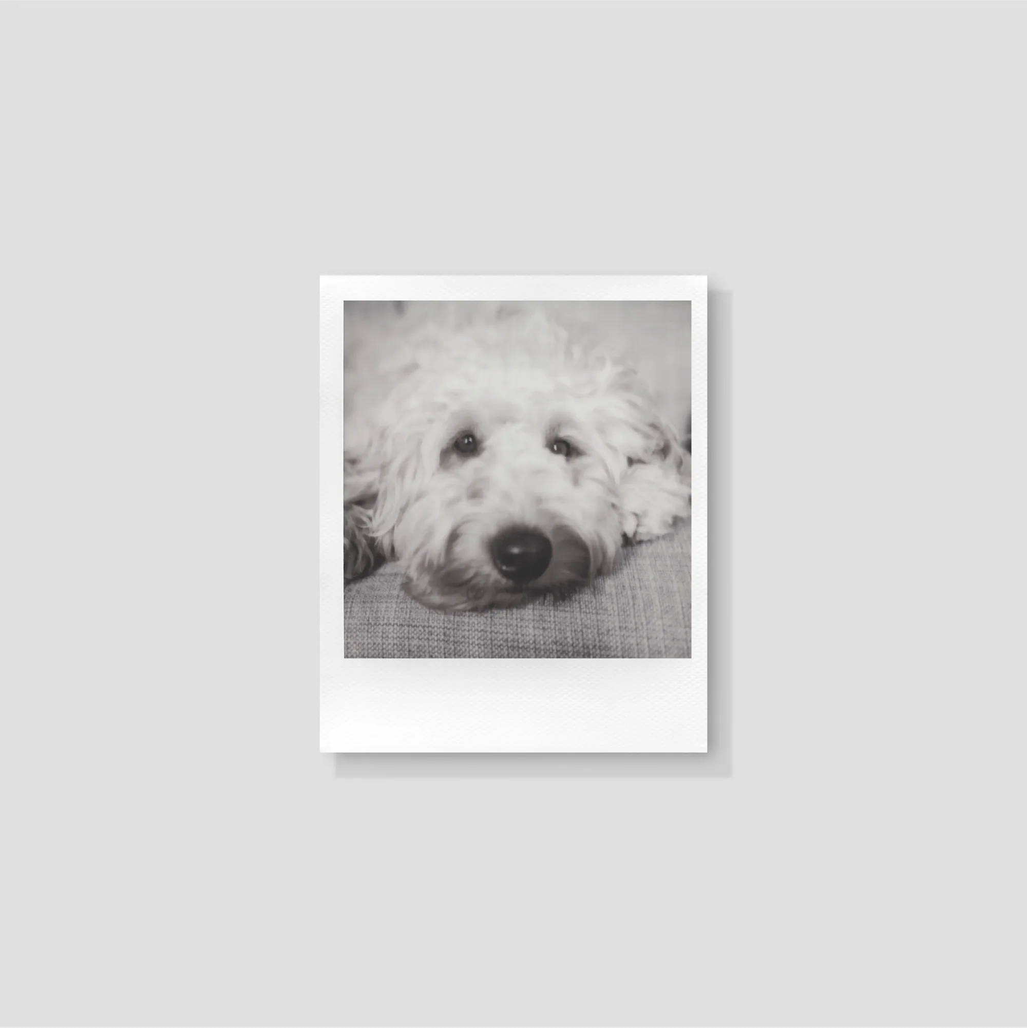 Polaroid B&W 600 Film - Image 3