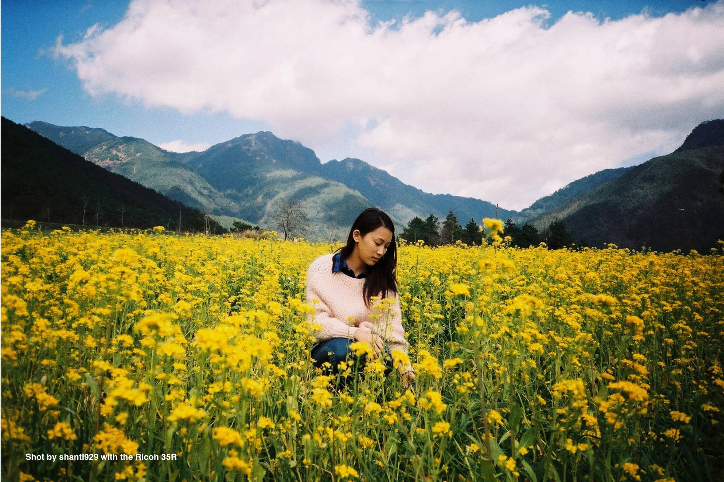 Ricoh 35R - Image 4