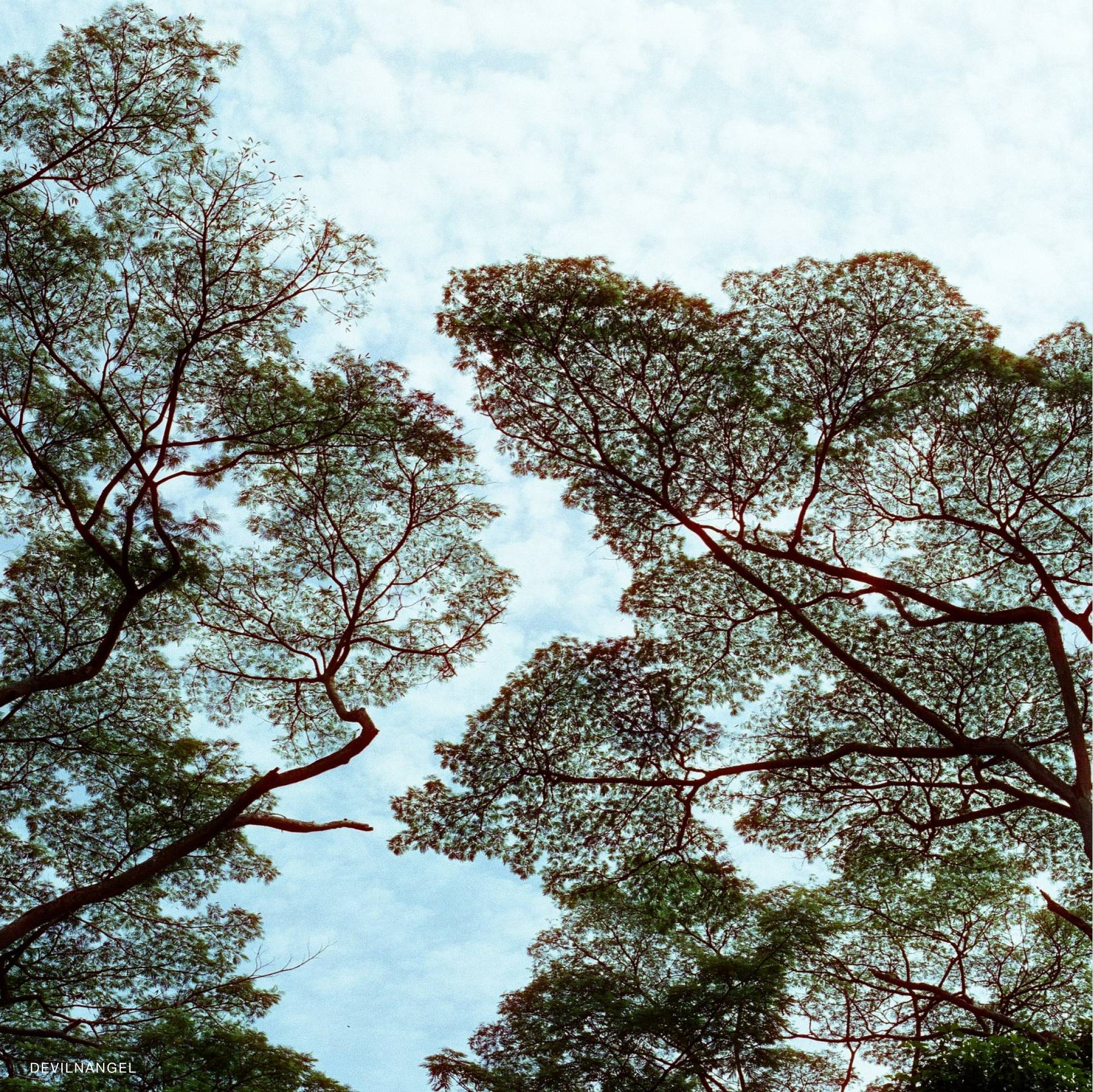 Sora 200D - Image 3