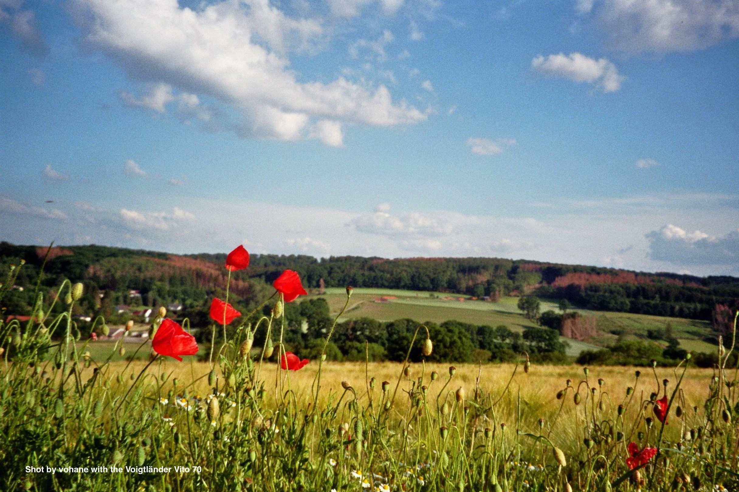 Voigtländer Vito 70 - Image 5