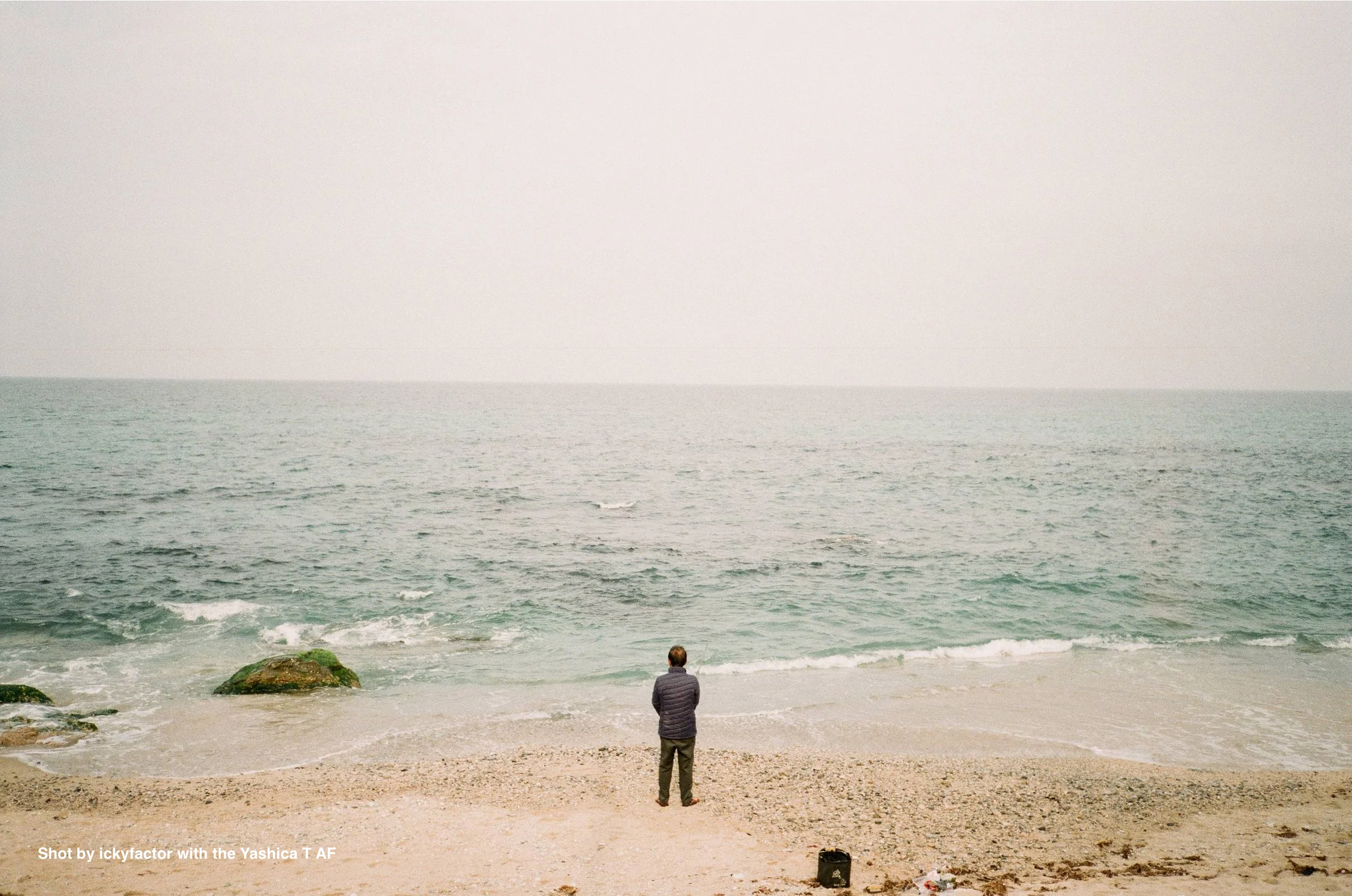 Yashica T AF - Image 5