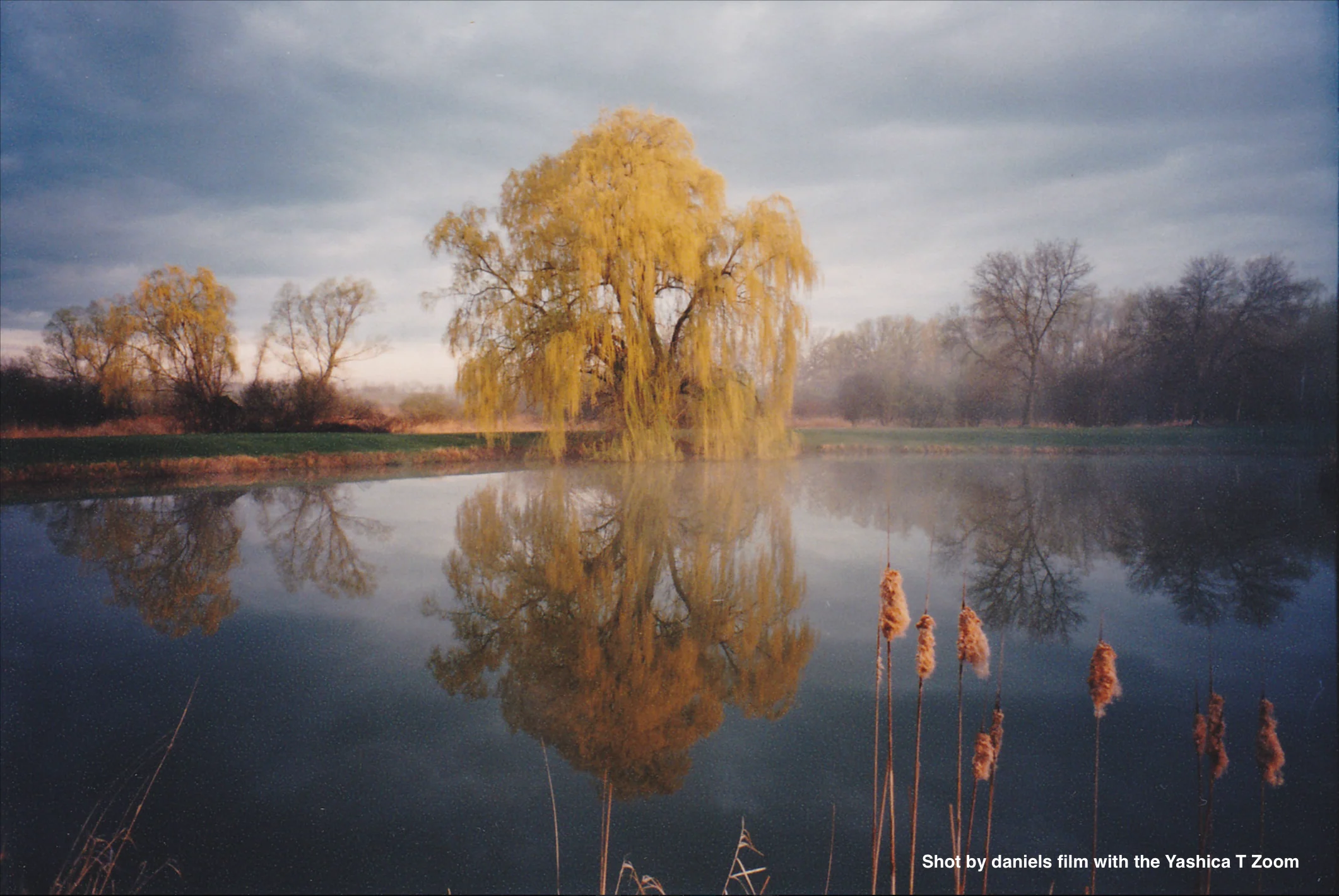 Yashica T4 Zoom - Image 7